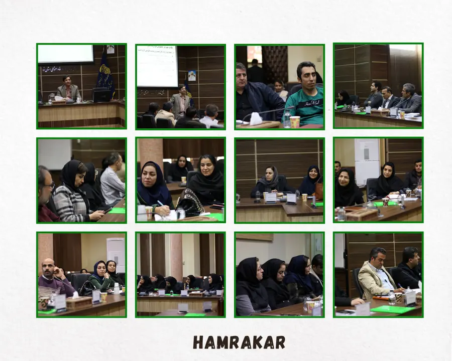 تصاویر واقعی از شرکت‌کنندگان برنامه‌های همراکار